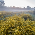 Auvergne paysage1
