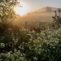 Auvergne paysage2