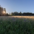 Auvergne paysage6