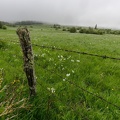 Auvergne paysage7