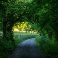 Auvergne paysage22