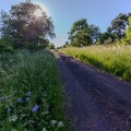 Auvergne paysage23