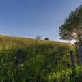 Auvergne paysage24