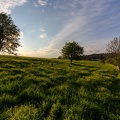 Auvergne paysage27