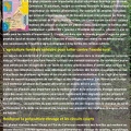 polyculture cam jpg