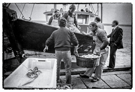 11 le patron des pêcheurs Le Guilvinec Finistère sud